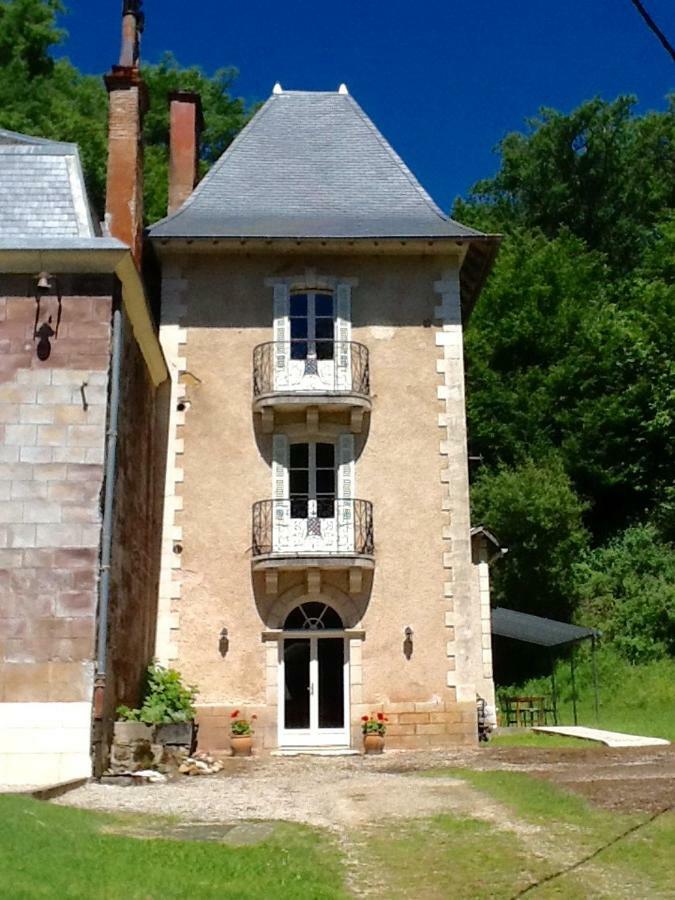 La Tour Du Chambon Daire Brignac-la-Plaine Dış mekan fotoğraf
