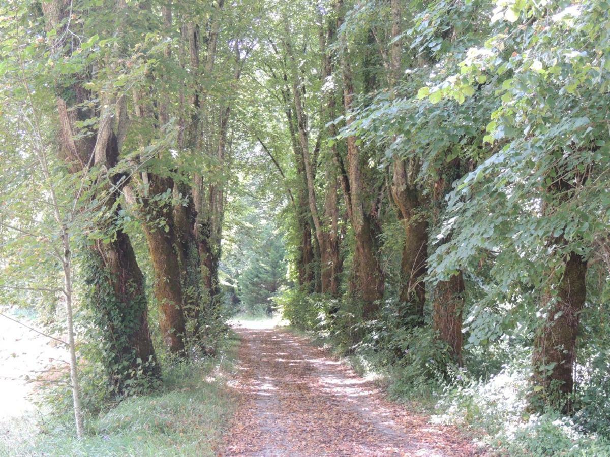 La Tour Du Chambon Daire Brignac-la-Plaine Dış mekan fotoğraf
